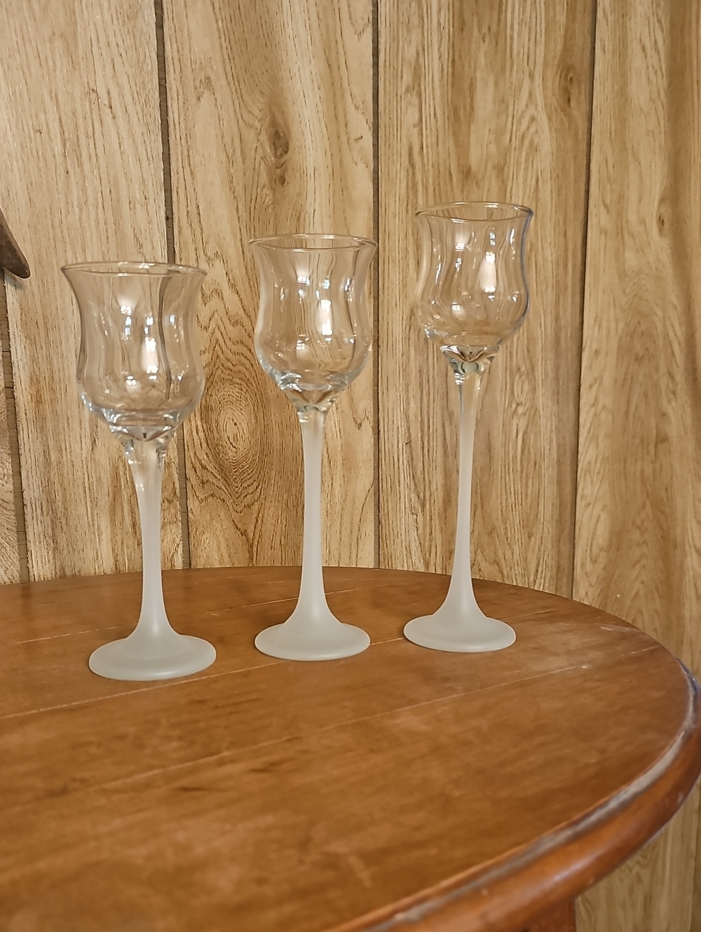 Partylite 9248 Frosted Stemmed Glassware Set - Clear and Frosted White